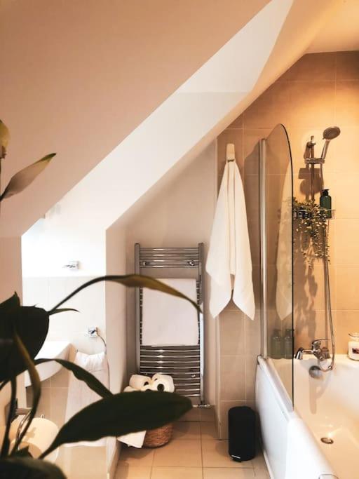 The Sycamore Retreat - Hampstead London Eksteriør billede